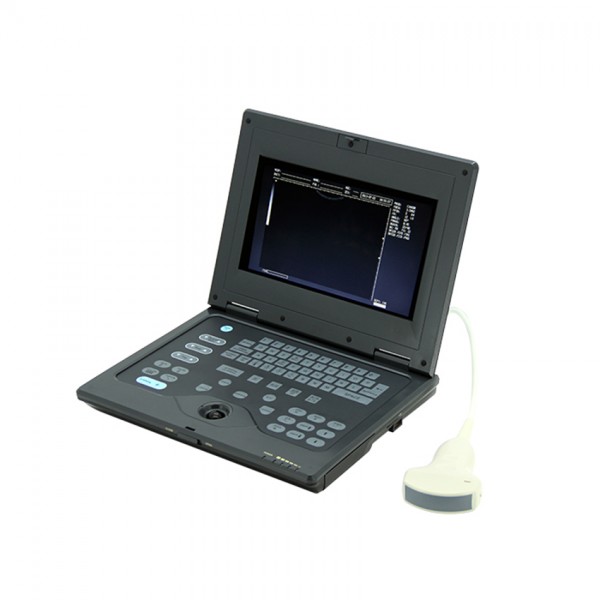CMS 600P