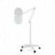 Loupe LED