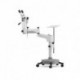 Colpo L100plus