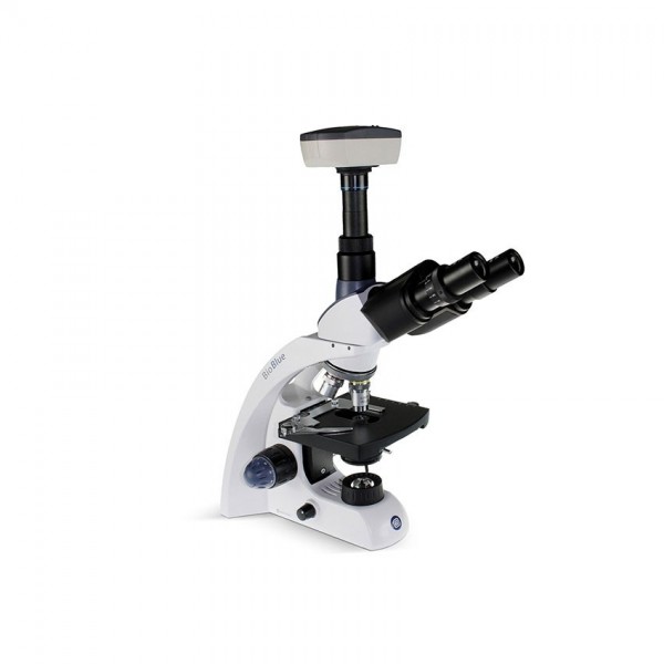 BioBlue 4243 Trino